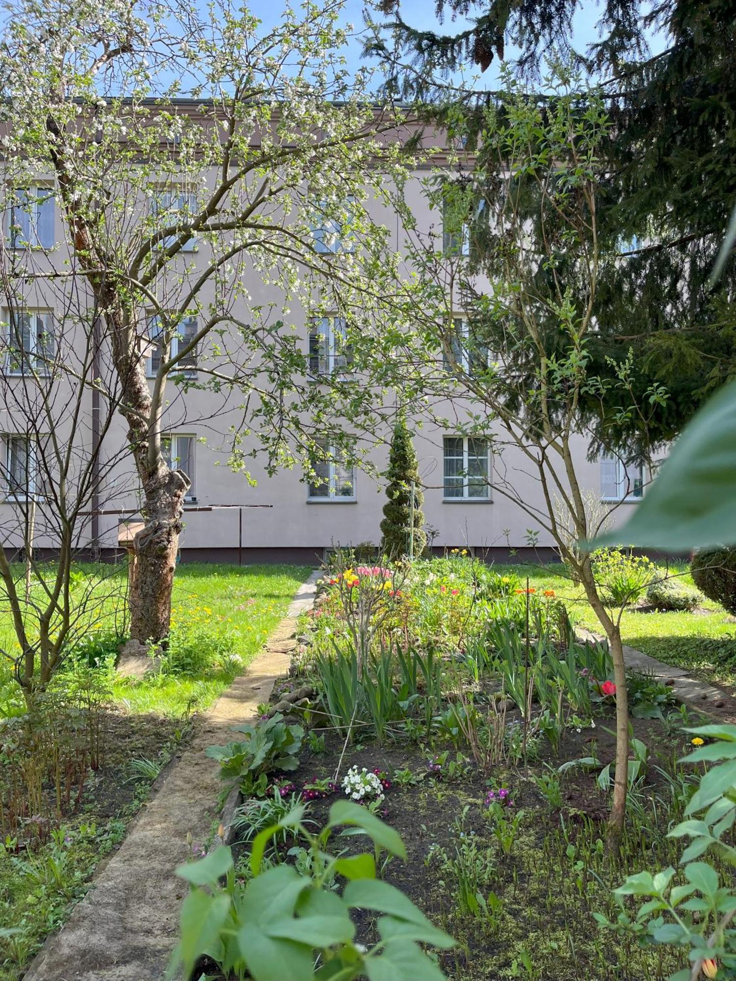 Greenthumb Praska Cracóvia Exterior foto