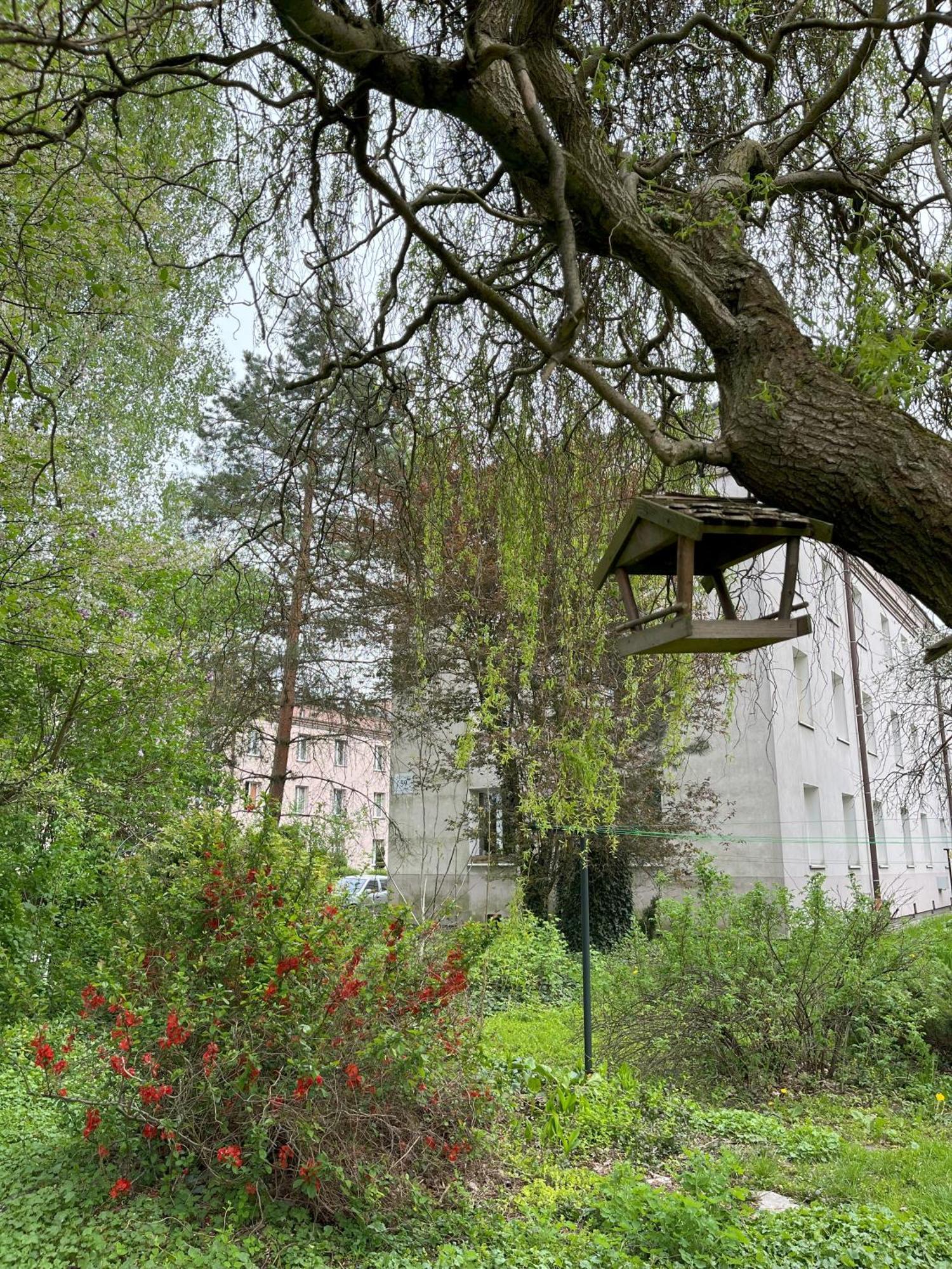 Greenthumb Praska Cracóvia Exterior foto